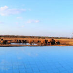VOI WILDLIFE LODGE