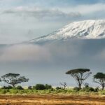 Tsavo East et Amboseli 3 jours / 2 nuits