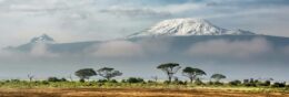 Tsavo East e Amboseli 3 giorni / 2 notti