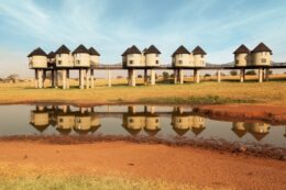 Taita Hills e Tsavo East 3 giorni /2 notti