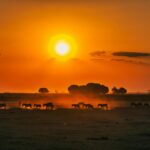 sammy-wong-mDwBsRcsqbU-unsplash